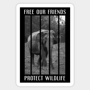 free our friends - elephants Magnet